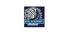 Excel Academy